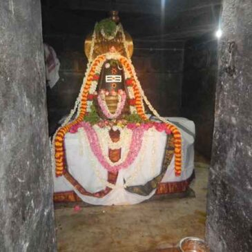 Shri Agathiyar Lopamudra Homam at Shri Thulaseeshwarar Temple Part 4