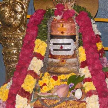 Sri Amuthambigi Sametha Sri Chathurveda Somanadha Eswarar Temple Kodimaram  Kumbabishekam – Part -2
